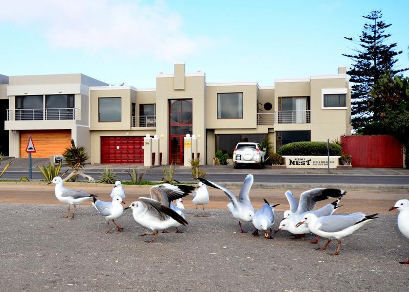 Kleines Nest Bed And Breakfast Walvis Bay Kültér fotó